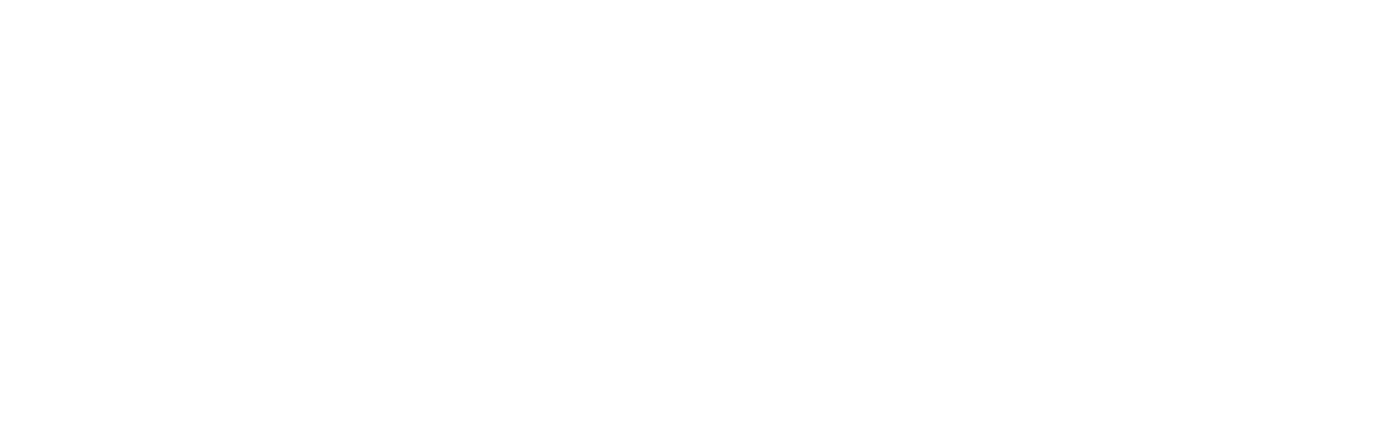 Aseela Garments